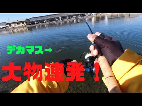 エリアトラウト】管理釣り場で大物連発⁉︎スプーン&クランクで