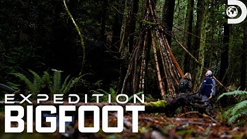 Strange Tree Structures in Bigfoot Territory | Expedition Bigfoot | Discovery