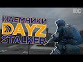 Что делать, если ВСТРЕТИЛ НАЕМНИКОВ в STALKER RP DAYZ