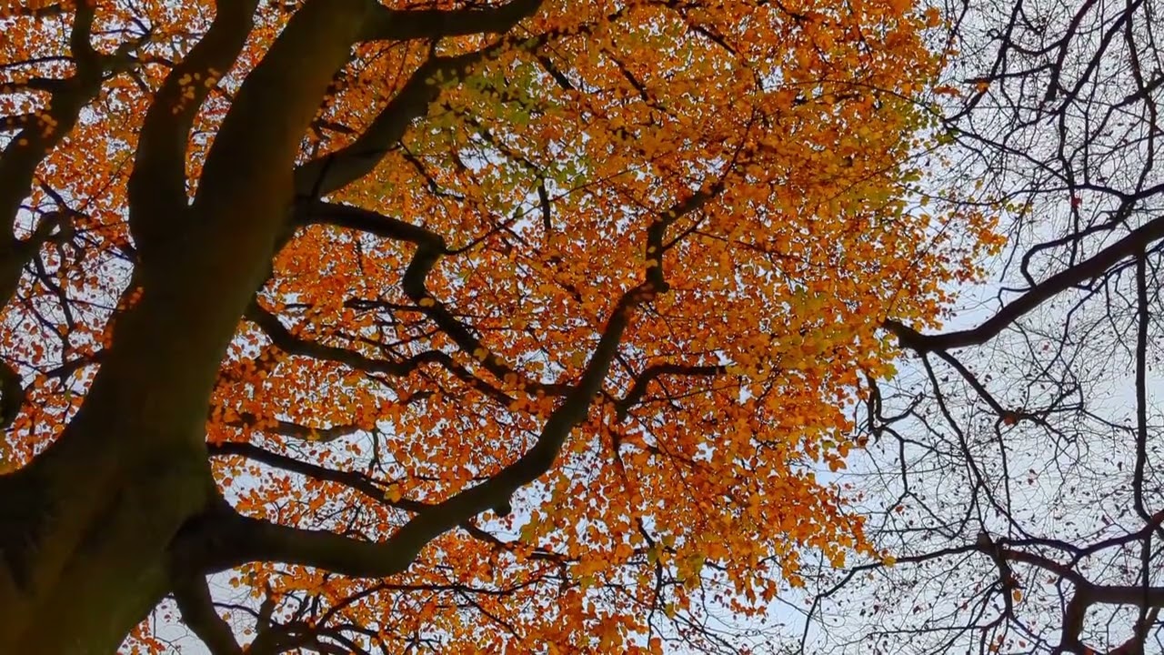 'Coasting' music video