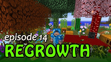 FTB Regrowth #14 - Setting up Witchery