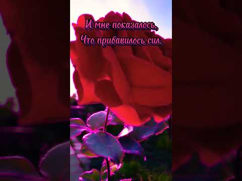 Одинокий вечер/Алексей Романюта