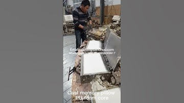 Cast memory pillow PU foam core