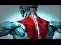 Shoulder  arm healing  550 hz frequency binaural beats  15 min rife healing sound therapy