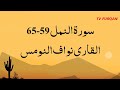      59 65 سورة النمل    