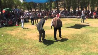 Şıhbarak Köyü Şıhbarak Gönülülleri Kabadayılar