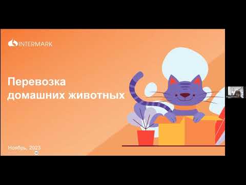 Путешествие с питомцем: секреты безопасной и комфортной перевозки