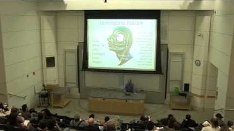 Terrence W  Deacon on Incomplete Nature  radically reformulating the concept of emergence