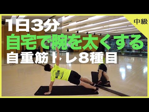 腕を太くする筋トレ！自宅で本気のワークアウト【腕の筋肉の鍛え方/自宅トレーニング】（1日3分）