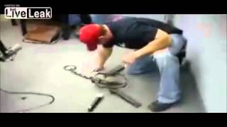 Man Punches Bear Trap!