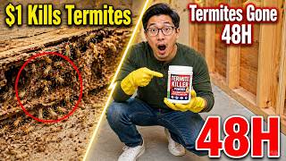 $1 Powder KILLS ALL Termites in 48 Hours. Saves $5,000 on Exterminators
