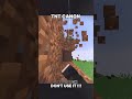 DON'T MAKE THIS TNT CANON !!!! #Minecraft #TNTCannon #MinecraftShorts #TNT #Explosion #ViralShorts