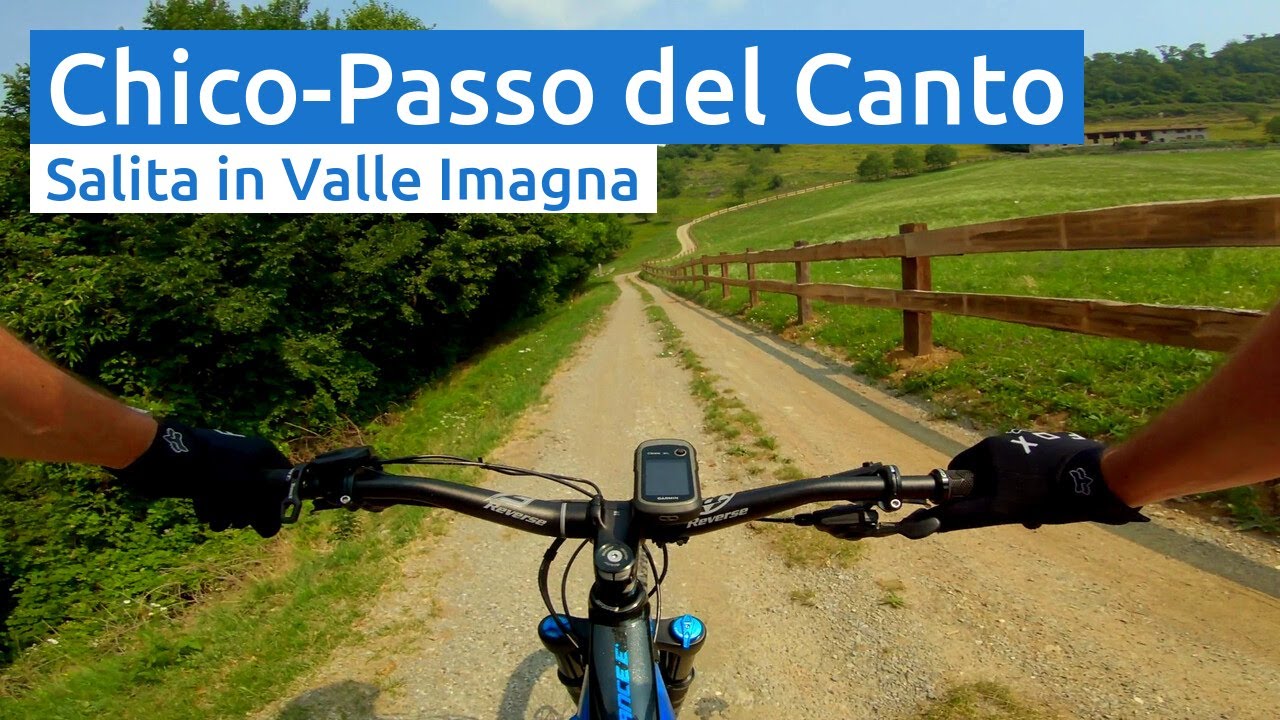 MTB Bergamo: 2019