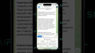 Обзор функциональности бота с использованием ChatGPT, Perplexity и транскрибации YouTube