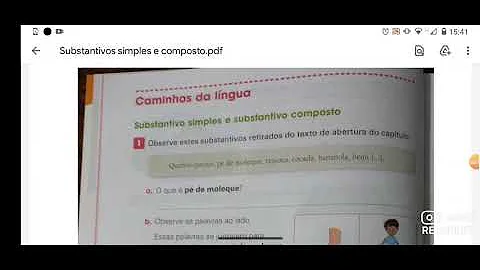 O que os substantivos do trecho 2 no meião?