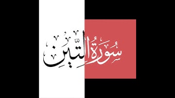 #Tilawa e Quran #8 : Surah At Teen سورة التين #Quran #Tilawat #islamicvideo #pakistan #quran