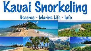 Our Top 9 Snorkel Spots on Kauai, Hawaii - Beaches, Marine Life & Helpful Information