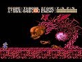 Ninja Gaiden 2 - Nes - ( The Dark Sword of Chaos ) - Full Playthrough - No Death