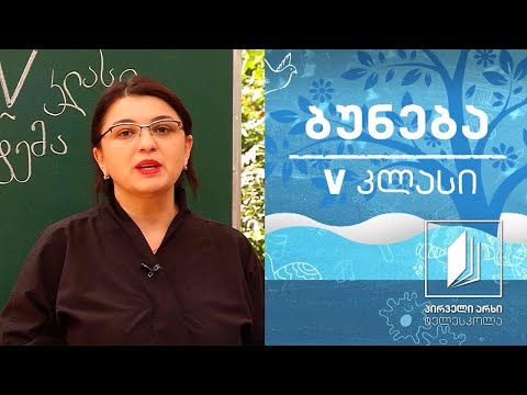 ბუნება, V კლასი - მზე; მზის სისტემა #ტელესკოლა