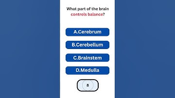 What part of the brain controls balance #triviatricks #quiz #brainteaser