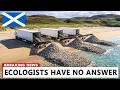 Scotland Put Freshwater Mussels Into 3 Dead Rivers — Here's What Happened