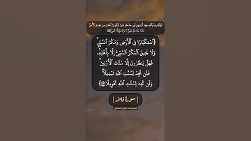 سورة فاطر الآية ٤٢ و ٤٣ بصوت الشيخ محمد صديق المنشاوي