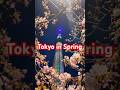 JAPAN(4K)Walking in Tokyo Japan✨ Such a beautiful day in Tokyo!✨