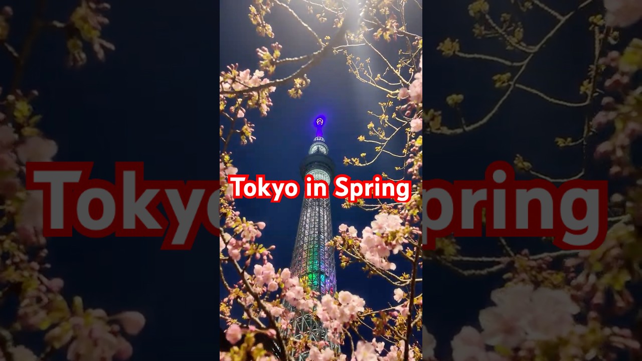 JAPAN(4K)Walking in Tokyo Japan✨ Such a beautiful day in Tokyo!✨