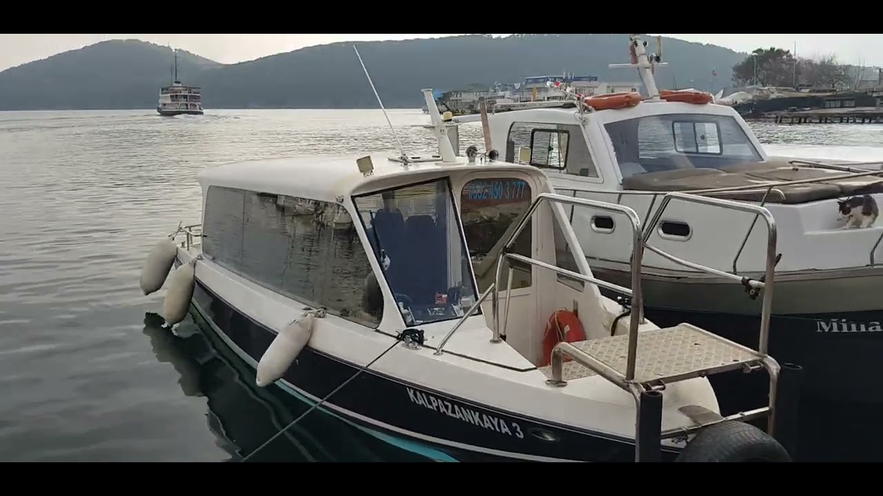 Burgaz ada istanbul turkey 2025 kudis