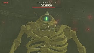 UniGiant plays Breath of the Wild [3] Reckless