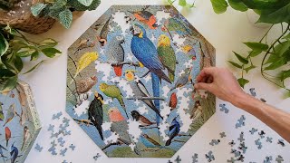 Aviary Birds | 500 Piece Jigsaw Puzzle Vintage Springbok Octagonal Shaped Puzzle Time Lapse