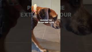 Is Your Pet Slipping On Floors? Boost Their Grip Naturally With Toegrips! Try Them For Five Key Bene