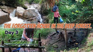Repairing an abandoned house in the deep woods day 3 continue.