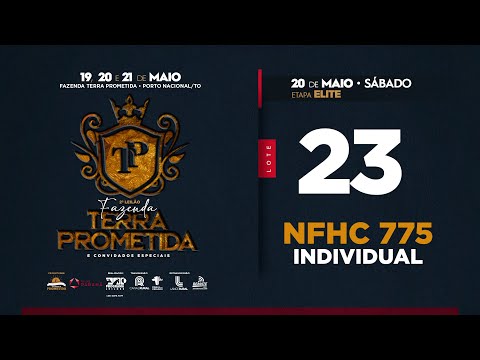 LOTE 23 Guapa FIV AL Canaã   NFHC 775