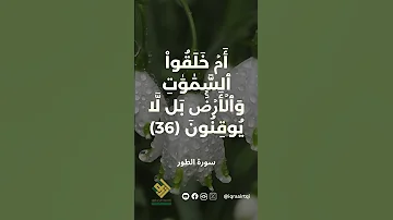أم خلقوا من غير شيء أم هم الخالقون 
