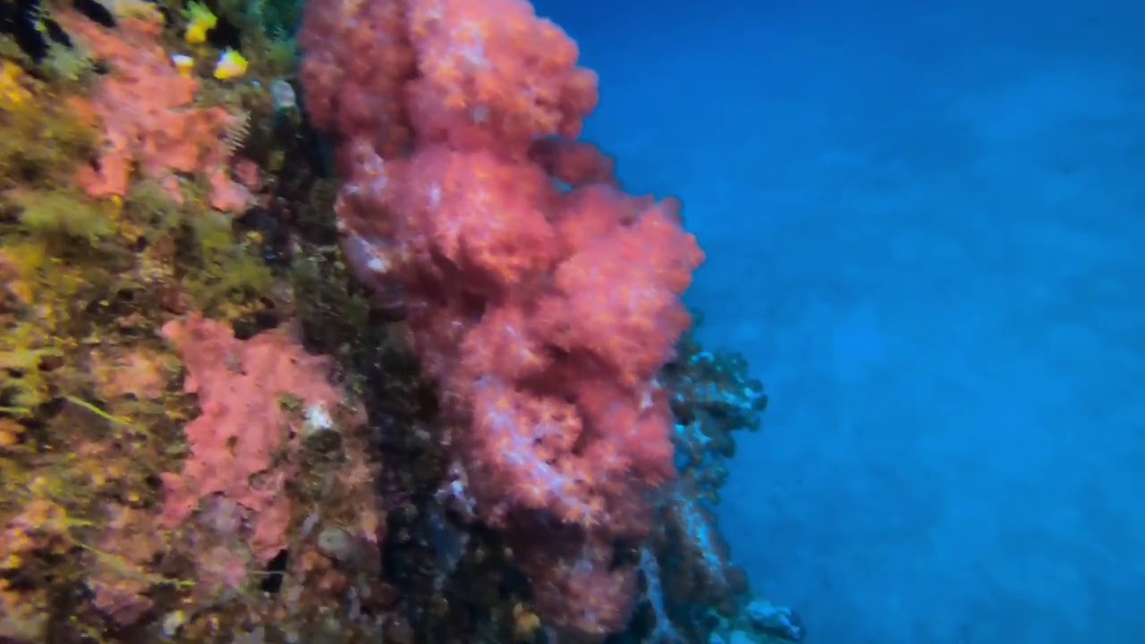 Alma Jane on All Star Philippines travel rock bariloche