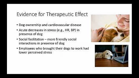 Dogs in the Workplace: Benefits and Potential Chal...