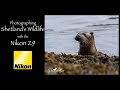 Photographing Shetlands Wildlife Pt2