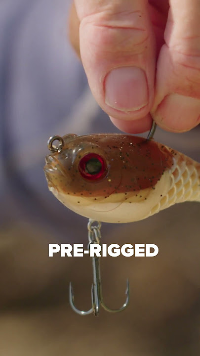 Berkley Jerk Shad 5 & 7 - How to rig 