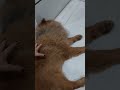 #sweetdrama