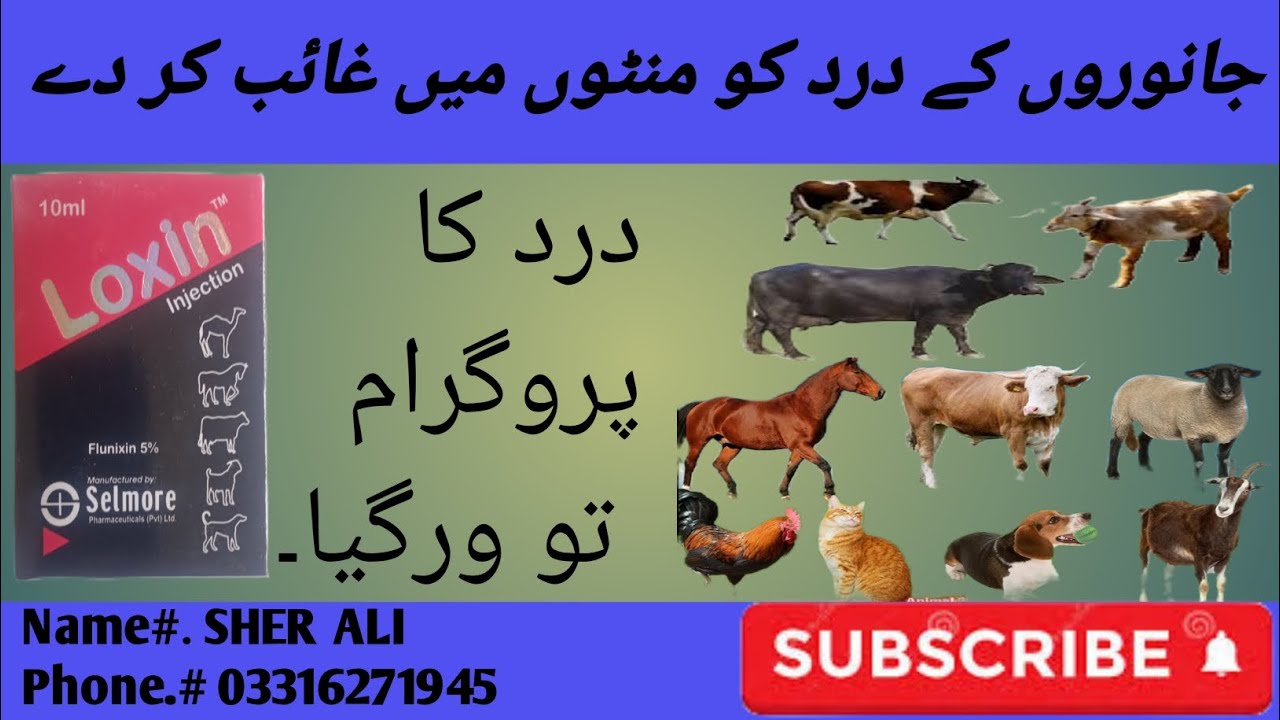 loxin injection pain killer - YouTube