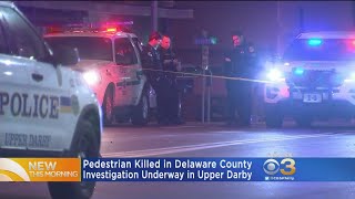 Pedestrian Killed In Delaware County