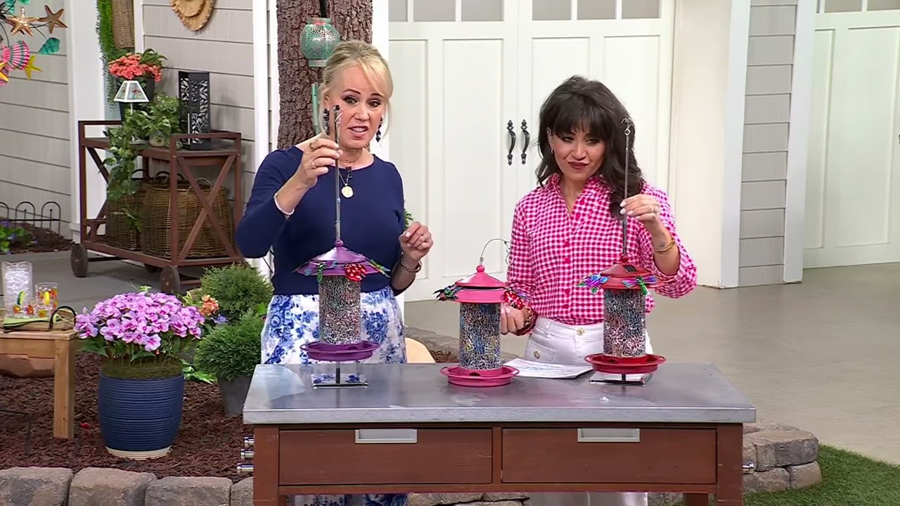 Temp-tations Outdoors Solar Bird Feeder w/ Interchangeable Critter Icons on QVC