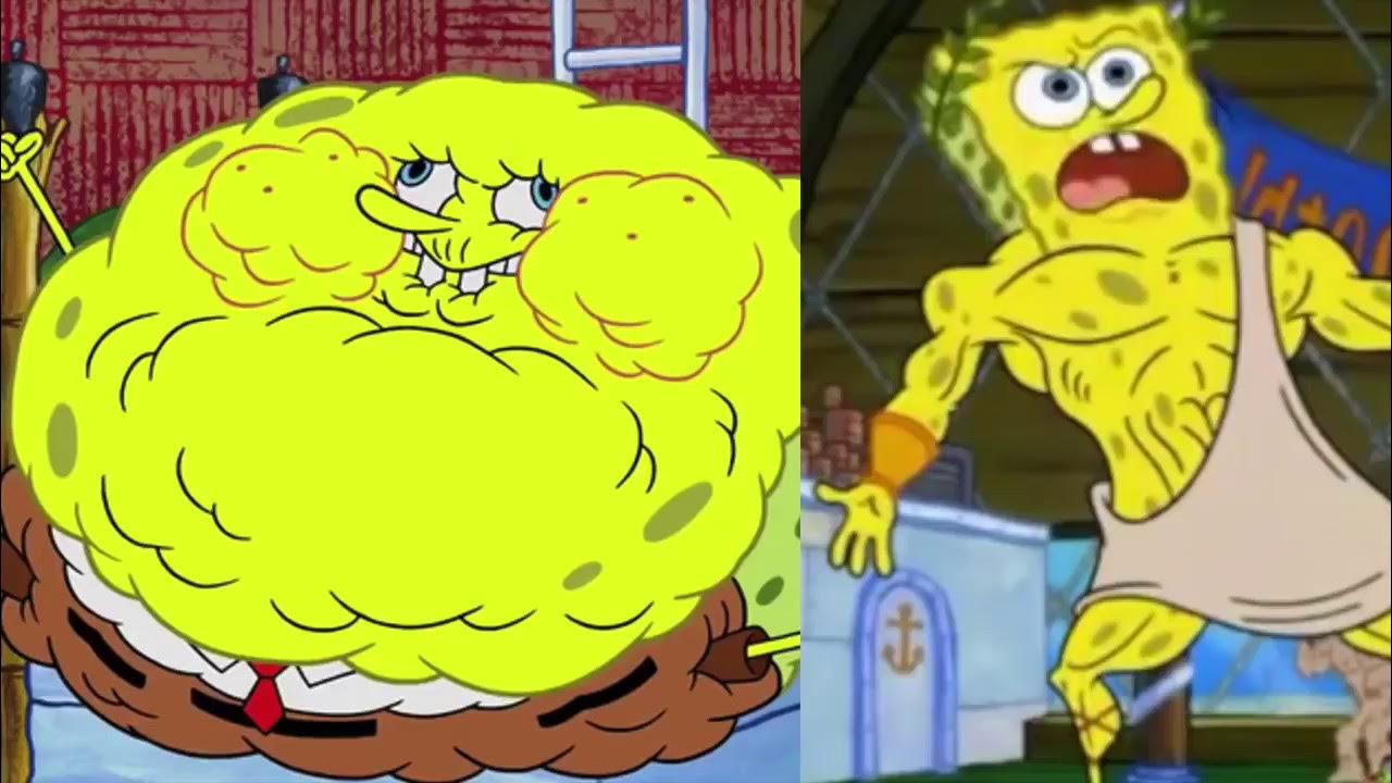 Best Fintess Body Transformation Spongebob Squarepants YouTube