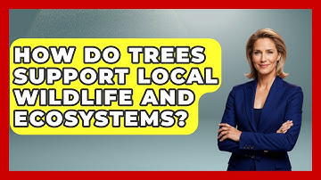 How Do Trees Support Local Wildlife and Ecosystems? - Ecosystem Essentials