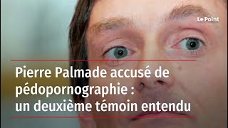 Pierre Palmade accusé de pédopornographie : un deuxième témoin entendu