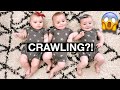 The triplets first CRAWL! Our world just got turned upside down.