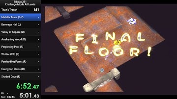 Pikmin 251 - Challenge Mode All Levels 1:25:41 [WR]