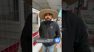 Iván Becerril del Partido Burras Prietas nos muestras sus tipos de camas para animales.