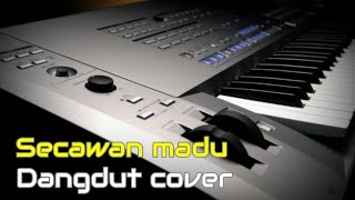 Secawan madu ( karaoke ria ) BY Dinda musik